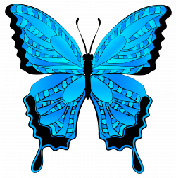 Blue Butterfly Clipart Image | Gallery Yopriceville - High-Quality ...