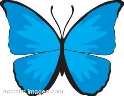 Blue Butterfly Clipart | Clipart Panda - Free Clipart Images