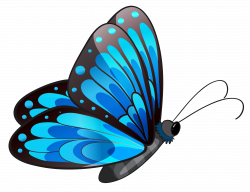 Free Blue Butterfly Images, Download Free Clip Art, Free Clip Art on ...