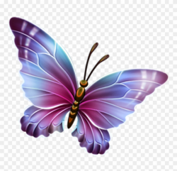 Free Butterfly Clipart Pink And Purple Butterfly Clipart ...