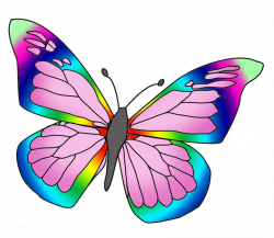 Colorful butterflies clipart clipartfox 3 - Clipartix