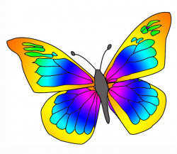 Free Butterflies Clipart, Download Free Clip Art, Free Clip Art on ...