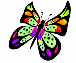 Butterfly Clipart