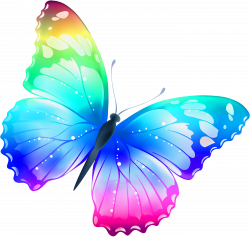 Transparent PNG Colorful Butterfly Clip Art free image