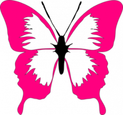 Colorful Butterfly Clip Art | Clipart Panda - Free Clipart Images