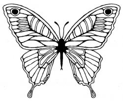 Butterfly Wing Drawing - ClipArt Best | coloring pages | Butterfly ...