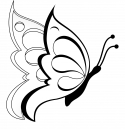 butterfly clipart | Butterfly 19 Black White Line Art Coloring Sheet ...