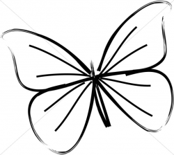 Butterfly Clipart Black And White | Free download best Butterfly ...