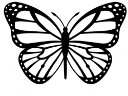 Free Simple Butterfly Black And White, Download Free Clip Art, Free ...