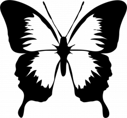 Free Simple Butterfly Black And White, Download Free Clip Art, Free ...
