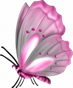 385 Best butterfly cartoon images in 2019 | Painting on fabric ...