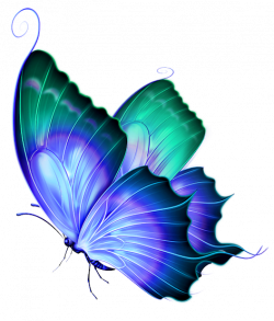 Butterfly clipart transparent background, Butterfly transparent ...