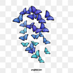 Blue Butterfly PNG Images | Vector and PSD Files | Free Download on ...