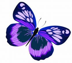 Butterfly clipart free download on WebStockReview