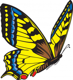 Flying Butterfly Clipart | Clipart Panda - Free Clipart Images