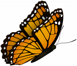 Flying Butterfly Clipart Image | Gallery Yopriceville - High ...