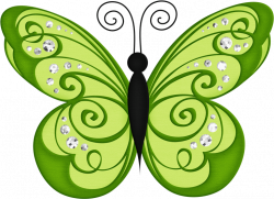 BORBOLETAS & JOANINHAS E ETC. | CLIPART - BUTTERFLIES | Butterfly ...