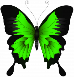 Green Butterfly PNG Clip Art Image | Gallery Yopriceville - High ...