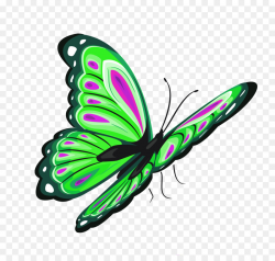 butterfly transparent Butterfly clip art green clipart download 4 ...