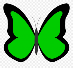 Sky Clipart Butterfly - Butterfly Clip Art Green - Png Download ...