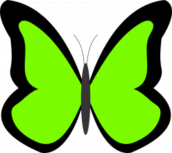 Free Green Butterfly Clipart, Download Free Clip Art, Free Clip Art ...