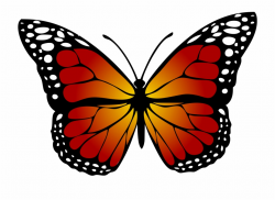 Butterfly Monarch Abstract Artistic 1662471 - Monarch Butterfly ...