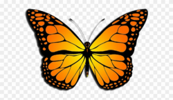 Monarch Butterfly Clipart August - Monarch Butterfly Clipart - Png ...