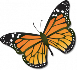 Monarch butterfly clipart the cliparts - ClipartAndScrap