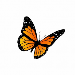 Monarch Butterfly Clipart 2 - 450 X 450 - Making-The-Web.com