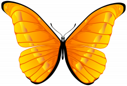 Orange Butterfly PNG Clip Art Image | Gallery Yopriceville - High ...