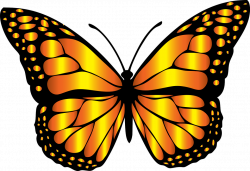 Butterfly Clip Art | Free Download Clip Art | Free Clip Art | on ...