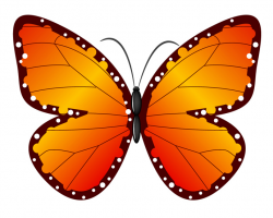 Butterfly Clip Art | Free Download Clip Art | Free Clip Art | on ...
