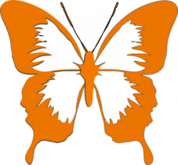 Butterfly Clip Art at Clker.com - vector clip art online, royalty ...