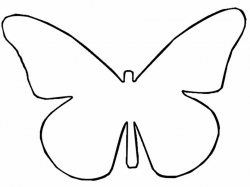 Drawn butterfly outline #3 | crafts | Butterfly outline, Butterfly ...