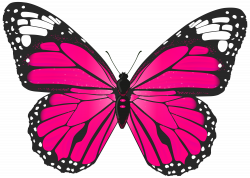 Butterfly clipart pink clipartfest - ClipartBarn