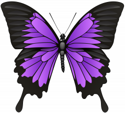 Purple Butterfly PNG Clip Art - Best WEB Clipart