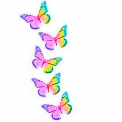 Free Rainbow Butterfly Cliparts, Download Free Clip Art, Free Clip ...