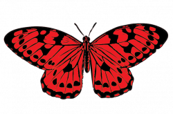 Red And Black Butterfly PNG Transparent Red And Black Butterfly.PNG ...