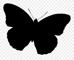 Butterfly Silhouette Drawing Black And White Free Commercial ...