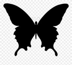 Butterfly Clipart Black And White - Silhouette Butterfly Vector Png ...