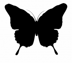 Clipart Butterfly Silhouette 2 In - Butterfly Silhouette Transparent ...
