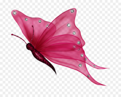 butterfly transparent Butterfly clip art flying butterflies ...