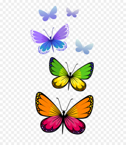 Butterfly, Flower, Line, transparent png image & clipart free download