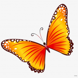 Free Clip Art Butterflies Coloring Butterfly Border - Transparent ...