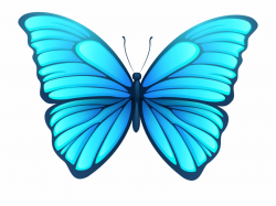Butterfly Png Images - Transparent Background Butterfly Png Free PNG ...