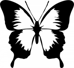Free Vector Butterflies, Download Free Clip Art, Free Clip Art on ...