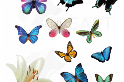 Watercolor Butterflies Clipart pack, vectors for commercial or personal use  (vector, png, jpg, dxf, pdf and eps files). Wedding Graphics.