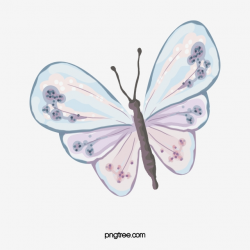 Watercolor Butterfly Png, Vector, PSD, and Clipart With Transparent ...