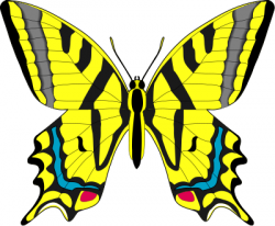 Free Yellow Butterfly Clipart, Download Free Clip Art, Free Clip Art ...