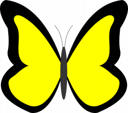 Yellow Butterfly Clipart | Clipart Panda - Free Clipart Images